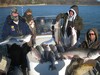 (01/04/2015) - Nice Striped Bass